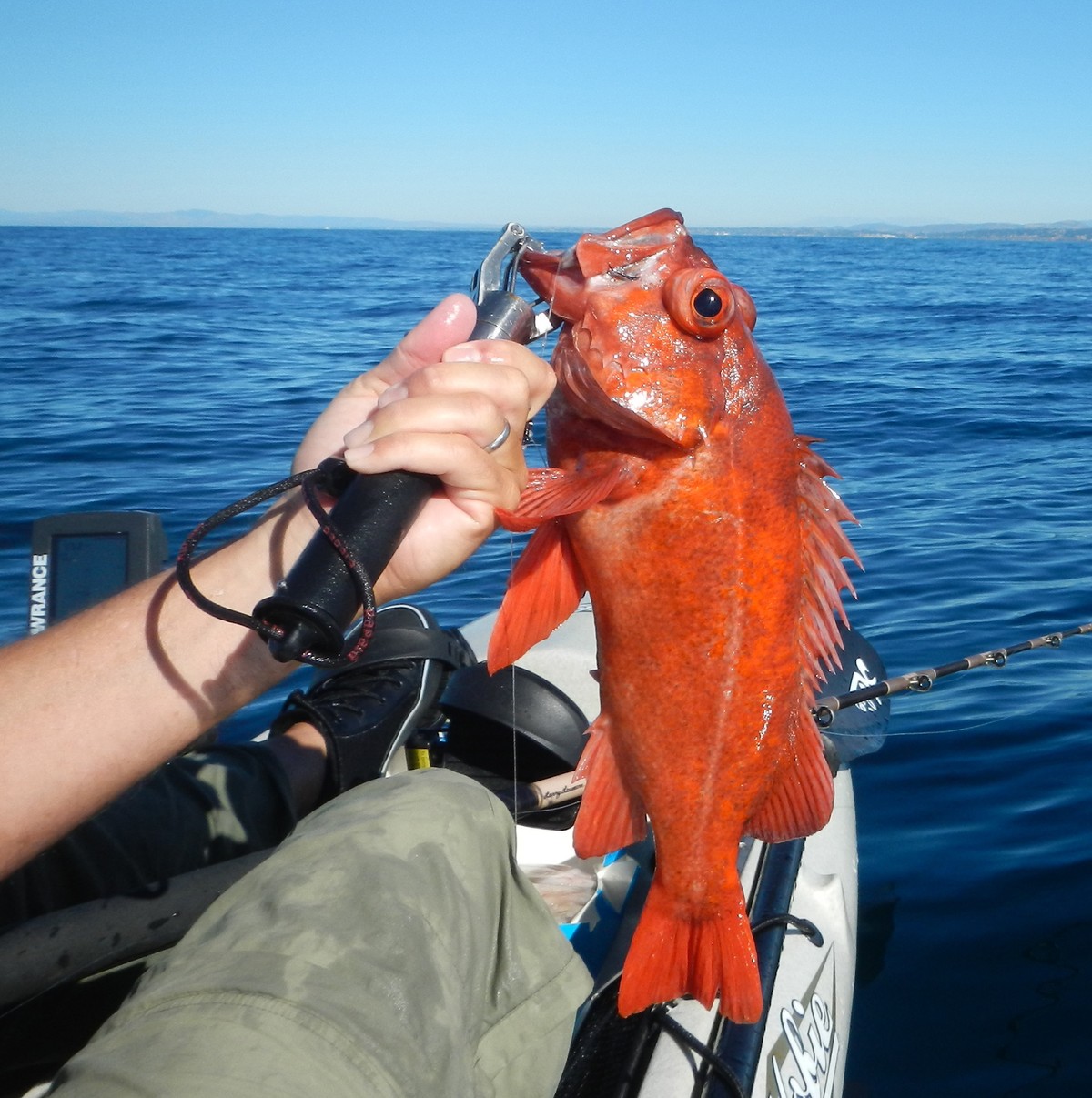 How To Cook Rockfish Fillets Simple & Easy To Do