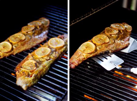 How To Cook Bluefish Fillets - Simple & Easy To Do