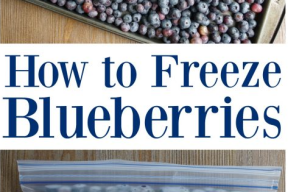 How to Freeze Blueberries